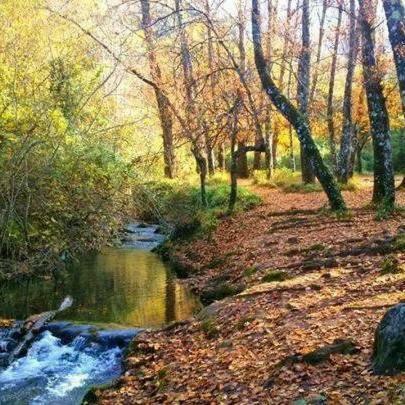 Affittacamere Casa La Vega El Bosque Esterno foto