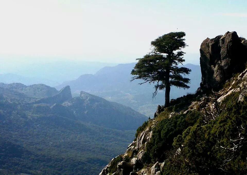 Affittacamere Casa La Vega El Bosque Esterno foto