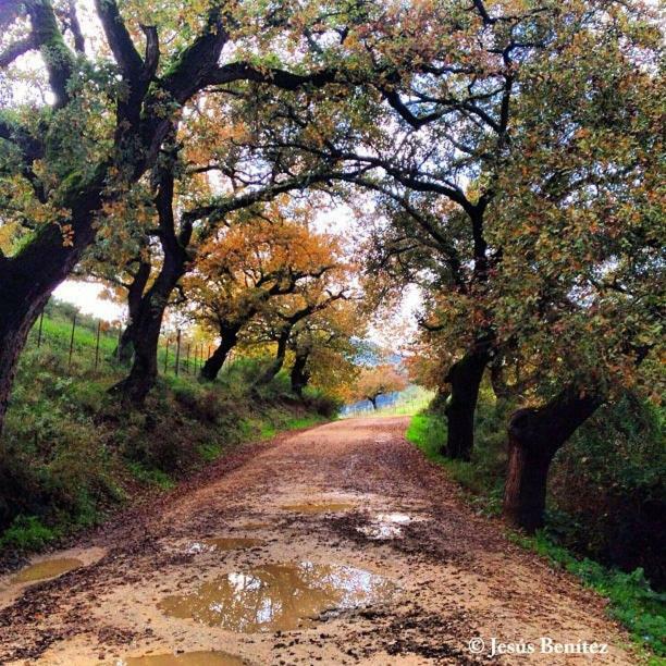 Affittacamere Casa La Vega El Bosque Esterno foto